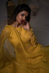 Tuscan Sun Lehenga Set