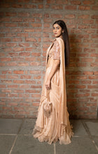 Load image into Gallery viewer, Sun Baked Concept Saree
